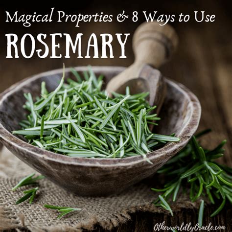 Rosemary and Prosperity: Unlocking Its Magical Properties for Wealth and Success